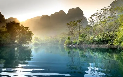 高性能高端